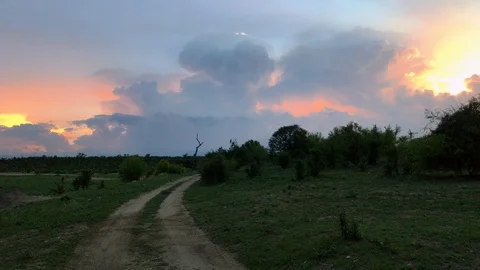 Storm clouds with lightning occurring in Hwangwe National Park Zimbabwe. Stock Footage 101617260