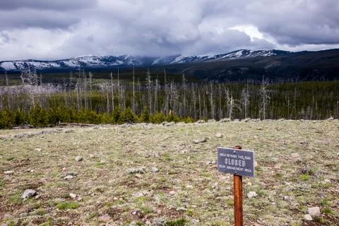 Storm Clouds on Mount Washburn Foto stock