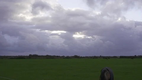 Storm clouds moving over pasture Video stock 71565527