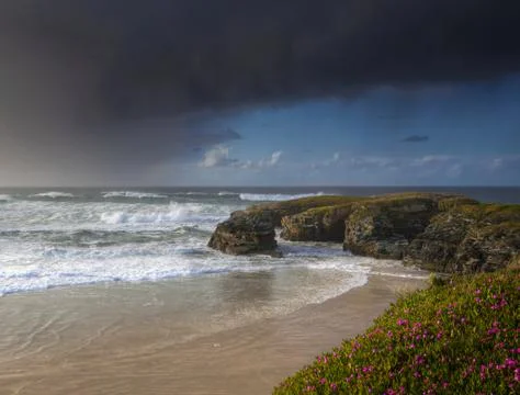 Storm clouds over a beach with cliffs covered in violet flowers Stock Photos