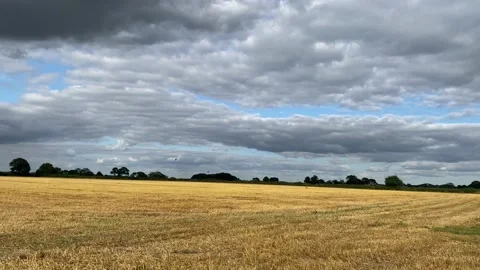 Storm clouds over a corn field Video stock 159782386