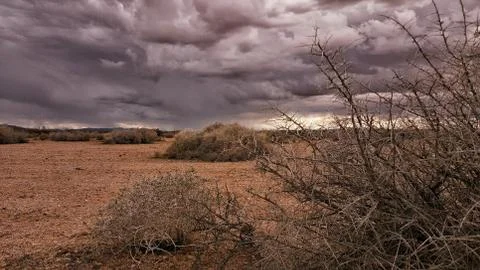 Storm Clouds over a Desert Stock-Fotos