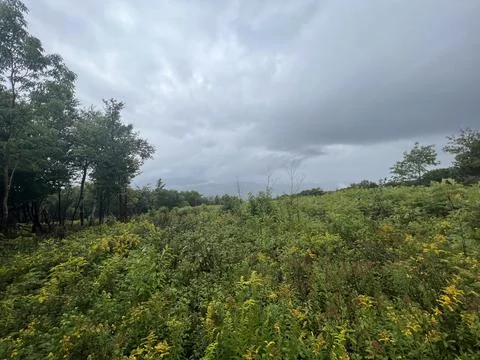 Storm Clouds over Field Stock Photos