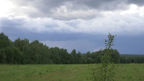 Storm clouds over the field before the rain Stock Footage 79092073