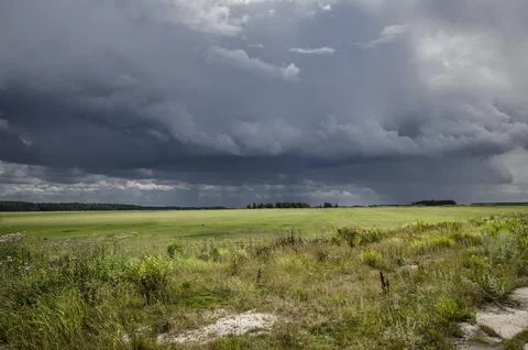  Storm clouds over a field in the summer. Russia. Stock Photos
