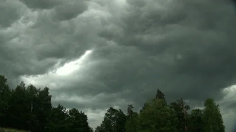 Storm clouds over the forest Stock-Footage 25423246