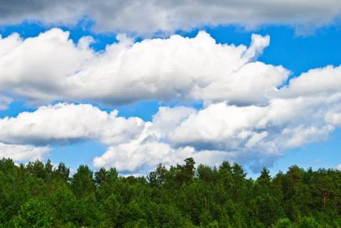 Storm clouds over the forest Stock Photos