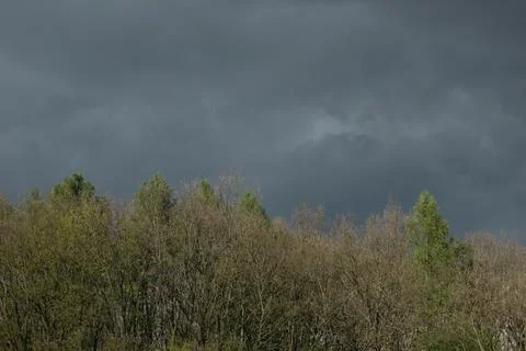 Storm clouds over the forest Stock Photos