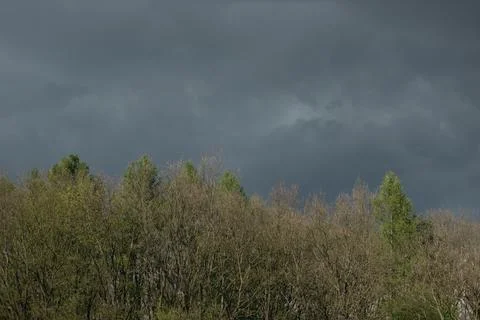 Storm clouds over the forest Stock Photos