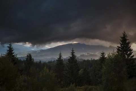 Storm Clouds Over Misty Forest Landscape Stock Photos