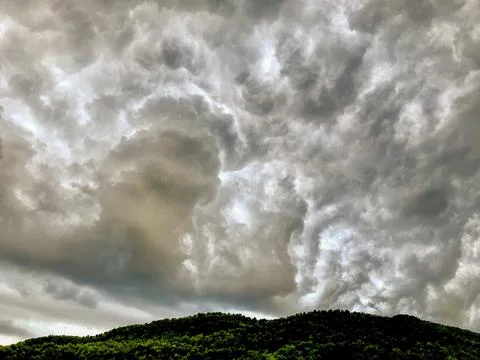 Storm clouds over the pine forest that is part of the natural park Stock Photos