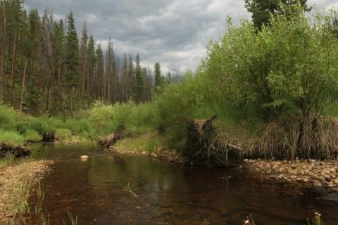 Storm clouds over stream in mountain forest Foto stock