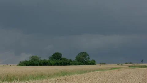 Storm clouds over summer wheat field Stock Footage 332790354