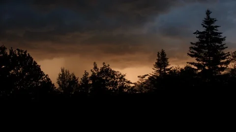 Storm Clouds Over Sunset, With Trees in the Foreground. Stock Footage 117247622