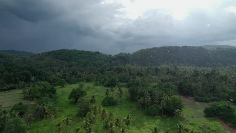 Storm Clouds Over Tropical Hills and Palm Valley, Sri Lanka. Aerial view, Rain. Stock Footage 327062181