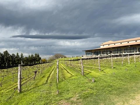 Storm clouds over the vineyard. Borde Rio Winery in Entre Rios, Argentina Stock Photos