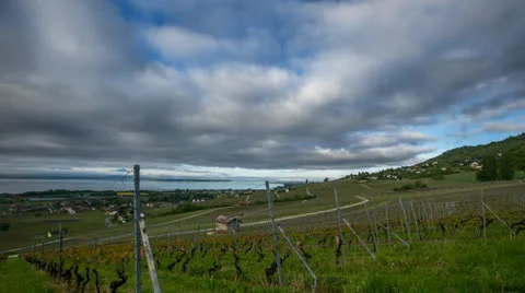 Storm clouds over a vineyard Stock Footage 23580890