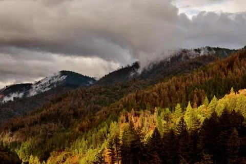 Storm Clouds Passing Over Burned Forest Stock Photos