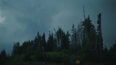 Storm Clouds Roll Past Trees Near Timberline Lodge - Mt Hood Oregon Stock-Footage 232162137