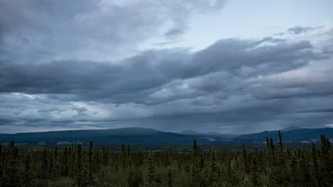 Storm clouds rolling over boreal spruce forest Alaska timelapse Stock-Footage 348019769