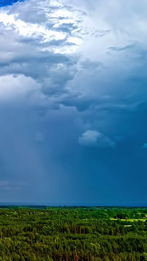 Storm Clouds Rolling Over Lush Green Forest in Vertical Timelapse Landscape Stock Footage 340904035