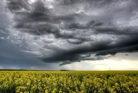 Storm Clouds Saskatchewan Stock Photos