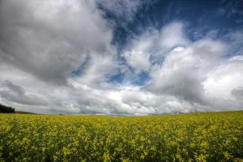 Storm Clouds Saskatchewan 写真素材