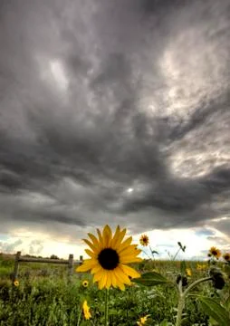 Storm Clouds Saskatchewan 스톡 사진