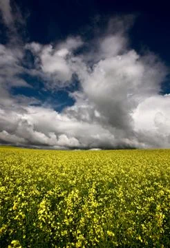 Storm Clouds Saskatchewan Stock Photos