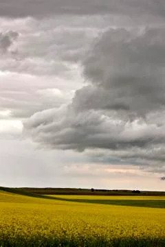 Storm Clouds Saskatchewan Stock Photos