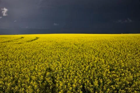 Storm Clouds Saskatchewan Stock Photos