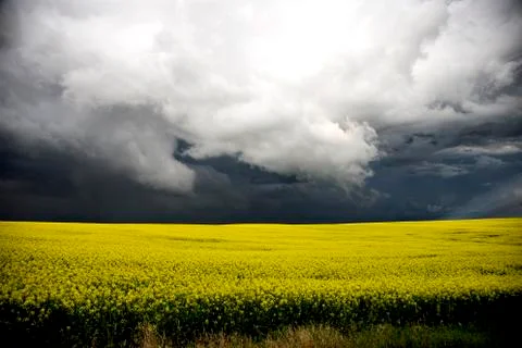 Storm Clouds Saskatchewan Stock Photos