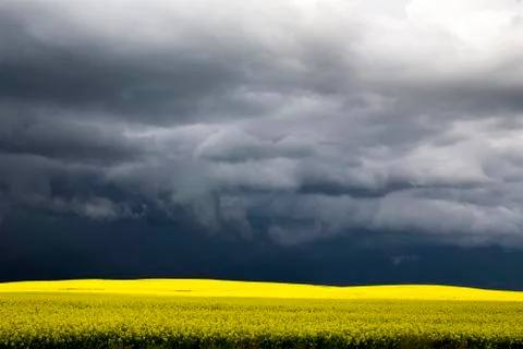 Storm Clouds Saskatchewan Stock Photos