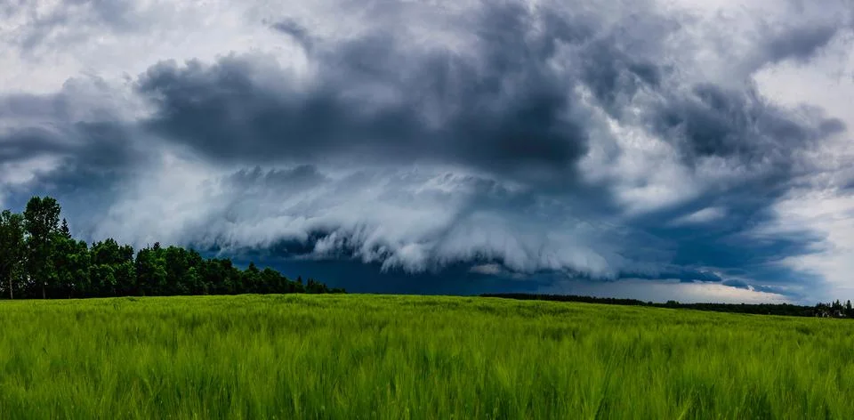 Storm clouds, shelf cloud over field, extreme weather, dangerous storm Foto stock