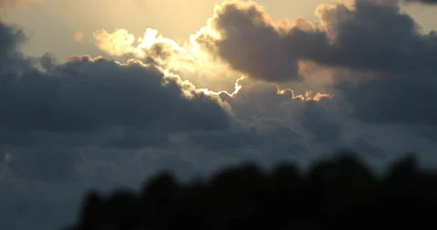 Storm Clouds With Silhouette Highlight Beyond Tree 4K Stock-Footage 155807070
