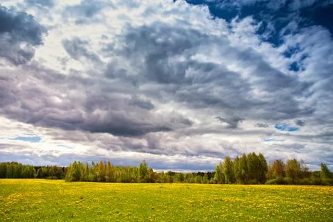 Storm clouds, spring blooming dandelion meadow. Rainy weather, overcast sky Stock Photos