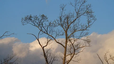 Storm clouds at Sunset Stock Footage 105144478