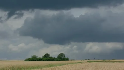 Storm clouds timelapse over golden grain field Stock Footage 332790356