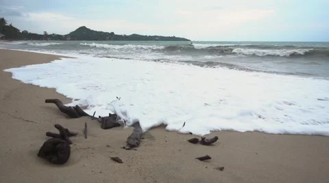 Storm on the Coast. Slow Motion Stock Footage 58598879