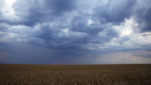 Storm is coming, cloudscape. Thunderstorm over typical rural scene. Stock Footage 107386016