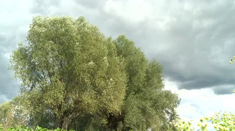 Storm coming Video stock 34403652