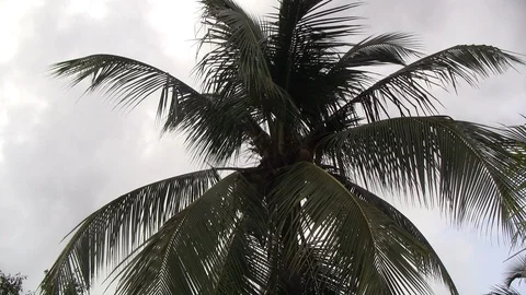 A Storm is coming. 動画素材 100038949