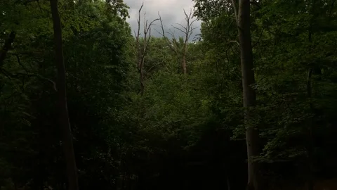 The storm is coming Vidéo 149476251