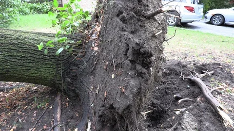 Storm damage destruction after tornado warned thunderstorm hits residential area Stock Footage 93379619