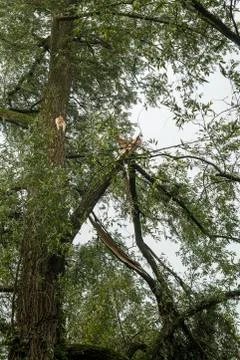 Storm damage Stock Photos
