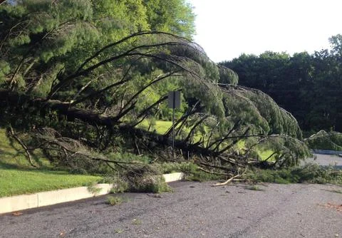 Storm damage Stock Photos