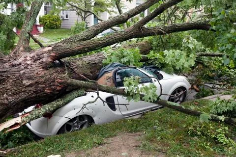 Storm damage Foto stock