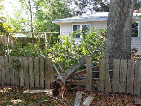 Storm damage, tree branch fell on fence Foto stock