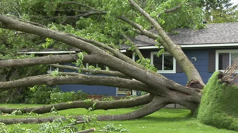 Storm Damage Tree On House Stock Footage 31553009
