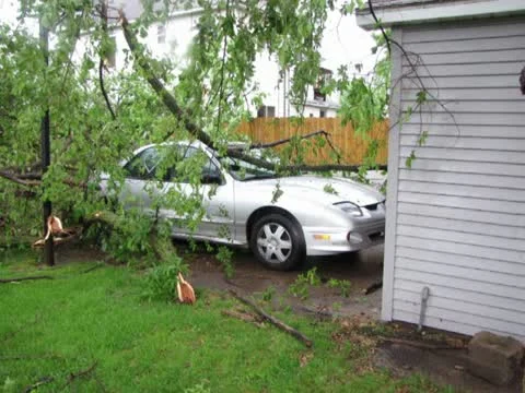 Storm Damaged Car Vidéo 12019887